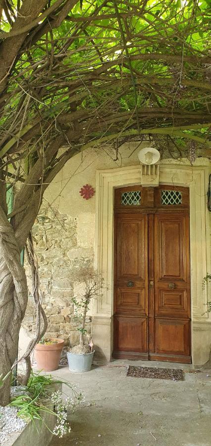 La Muscadelle : Le Calme Du Sud De La France Villa Marseillette
