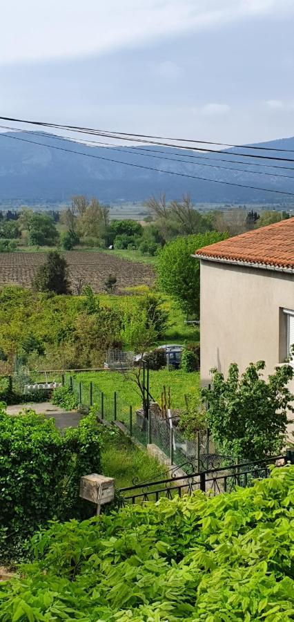 La Muscadelle : Le Calme Du Sud De La France * Marseillette