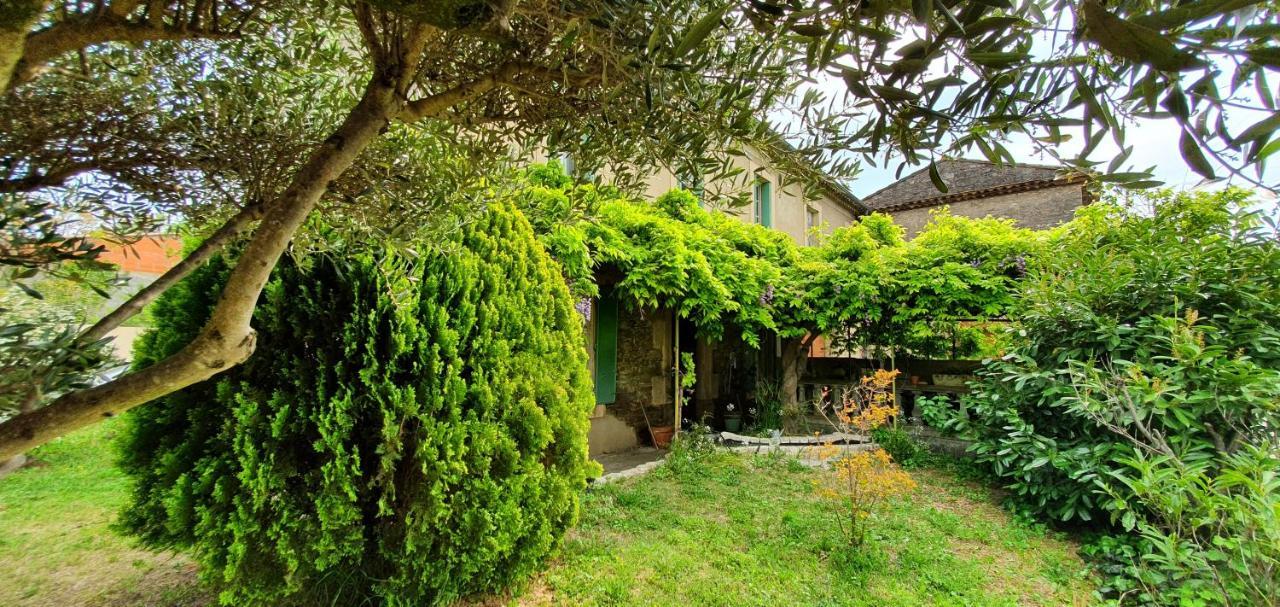 La Muscadelle : Le Calme Du Sud De La France Villa