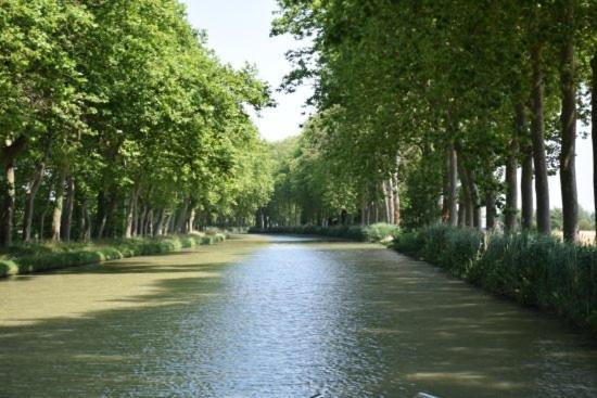 La Muscadelle : Le Calme Du Sud De La France